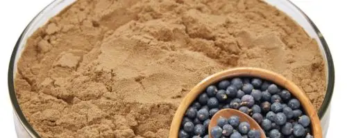 Juniper Berry Powder Extract