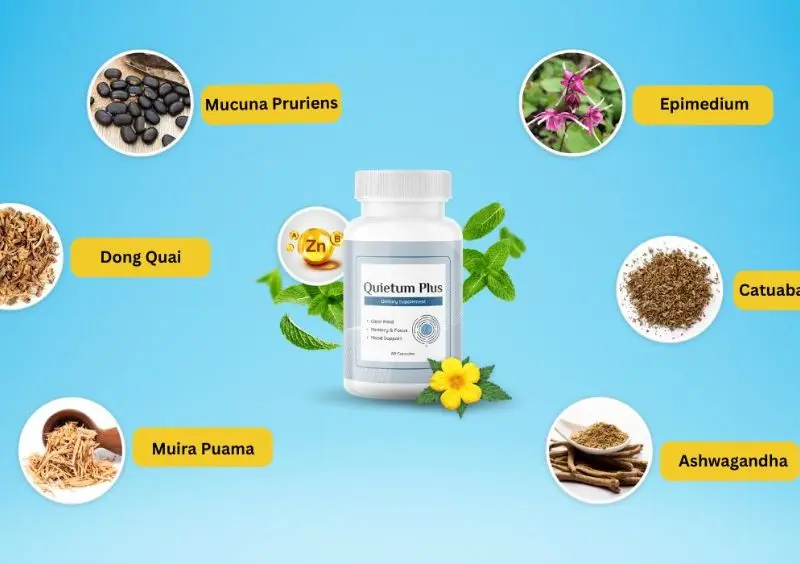 How Quietum Plus ingredients work together over time