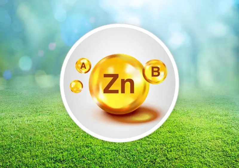 Nutrients that boost hearing clarity and sound sensitivity