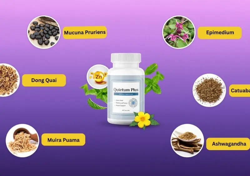 What Ingredients Are In Quietum Plus